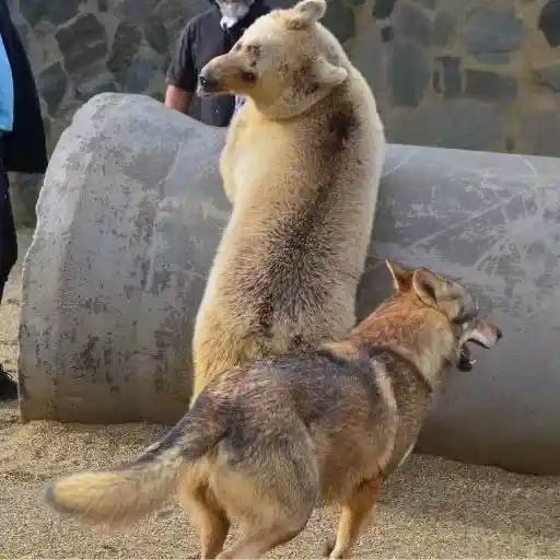 066af2d1a342bbc158800666c6a01151