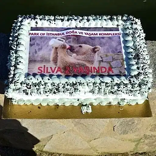 9afc48ff31f677306948384c0390e92e