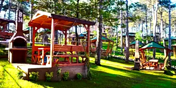 Mesire AlanÃ„Â±